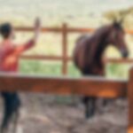 Diana Luiten paard en gedrag