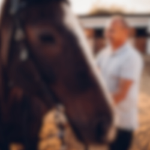 Dressuurtraining Bodewes